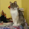 Отзыв от Ида Беликова